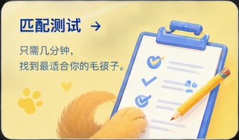匹配测试