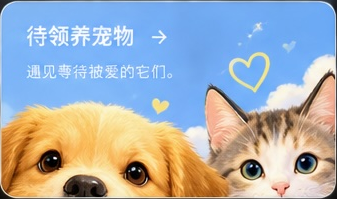 待领养宠物